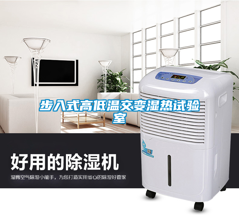 步入式高低温交变湿热试验室