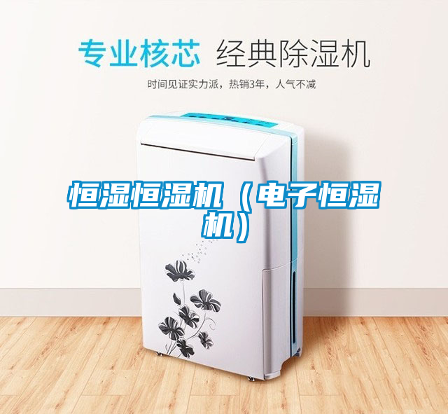 恒湿恒湿机（电子恒湿机）