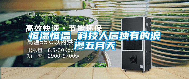 恒湿恒温 科技人居独有的浪漫五月天