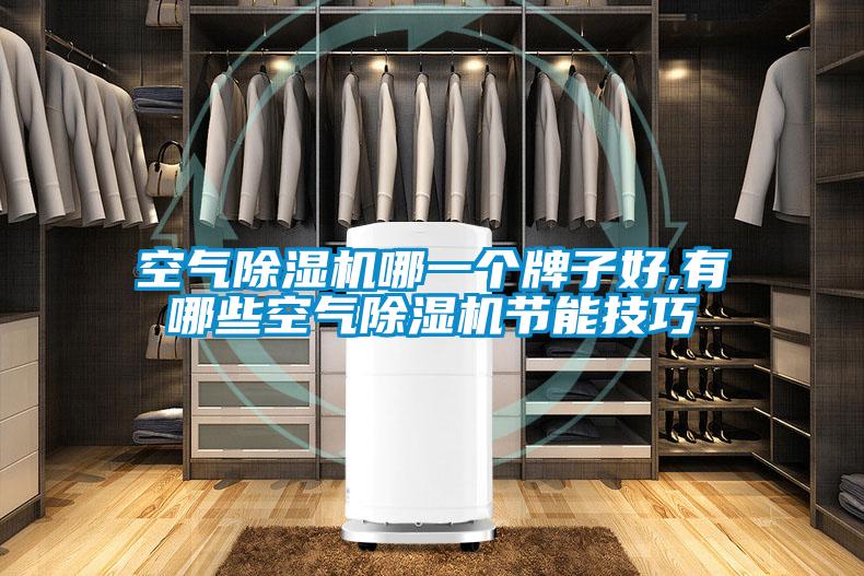 空气除湿机哪一个牌子好,有哪些空气除湿机节能技巧