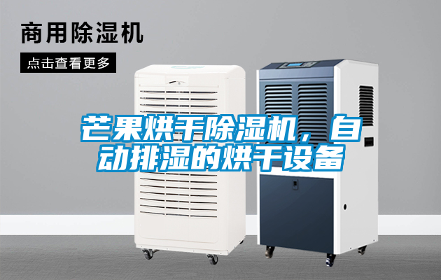 芒果烘干除湿机，自动排湿的烘干设备