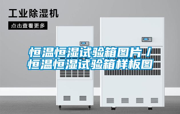 恒温恒湿试验箱图片／恒温恒湿试验箱样板图