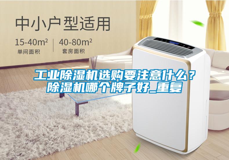 宝马电子游戏平台网址
选购要注意什么？除湿机哪个牌子好_重复