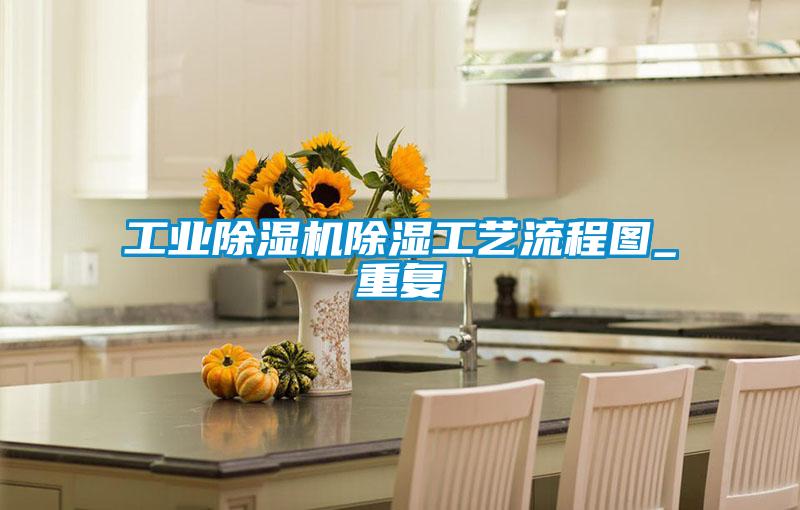 宝马电子游戏平台网址
除湿工艺流程图_重复