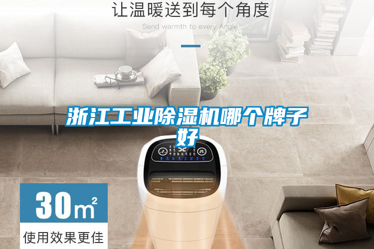 浙江宝马电子游戏平台网址
哪个牌子好