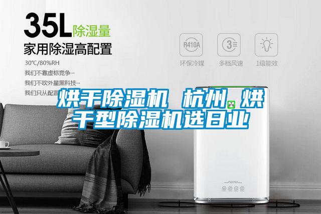烘干除湿机 杭州 烘干型除湿机选日业