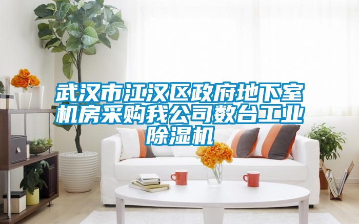 武汉市江汉区政府地下室机房采购我公司数台宝马电子游戏平台网址
