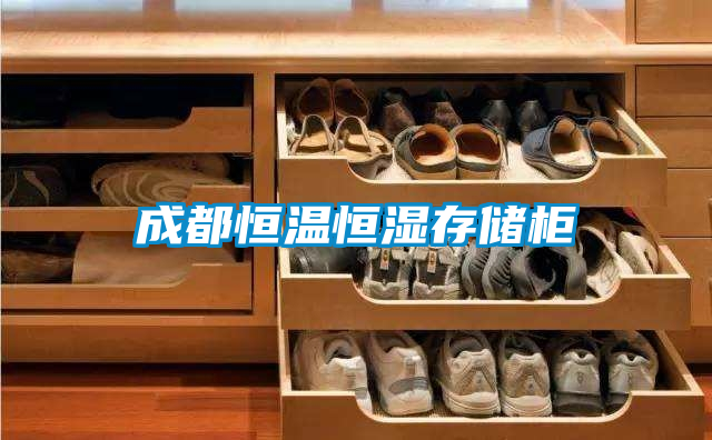 成都恒温恒湿存储柜