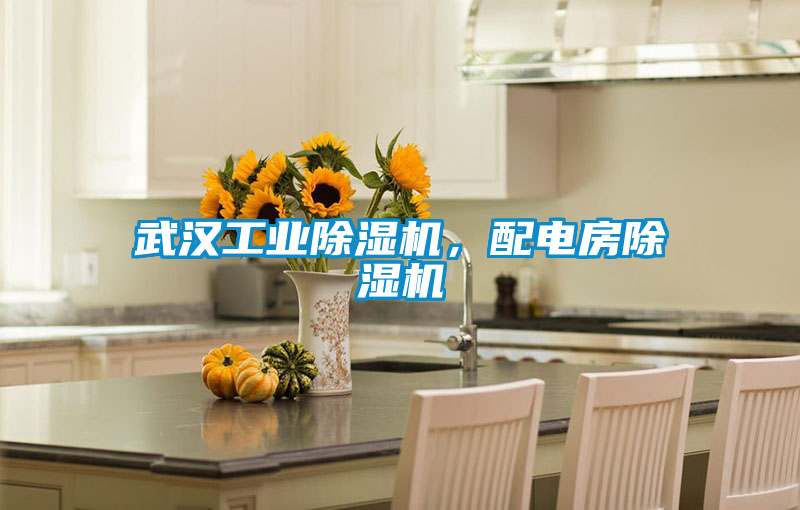 武汉宝马电子游戏平台网址
，配电房除湿机