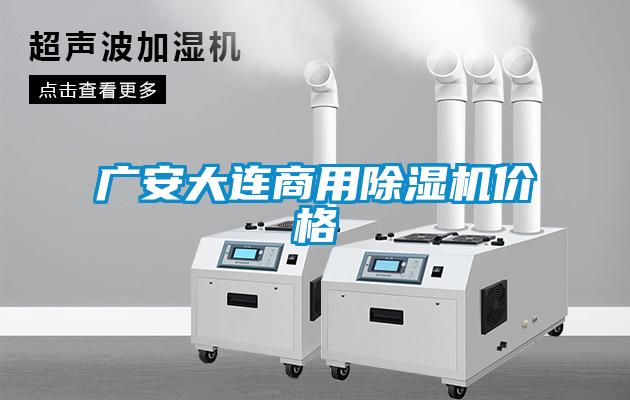 广安大连商用除湿机价格