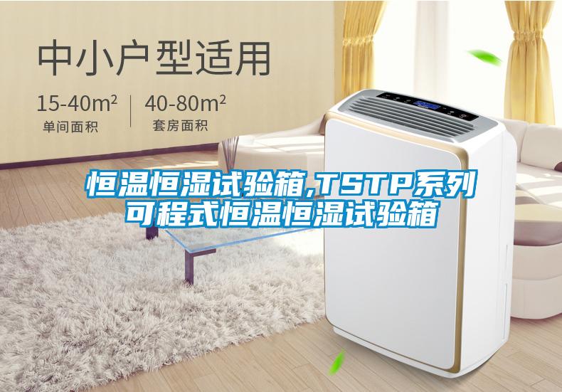 恒温恒湿试验箱,TSTP系列可程式恒温恒湿试验箱