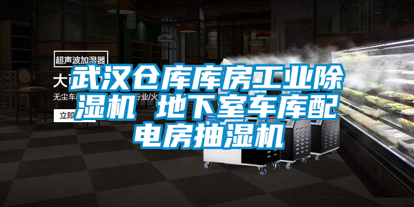武汉仓库库房宝马电子游戏平台网址
 地下室车库配电房抽湿机