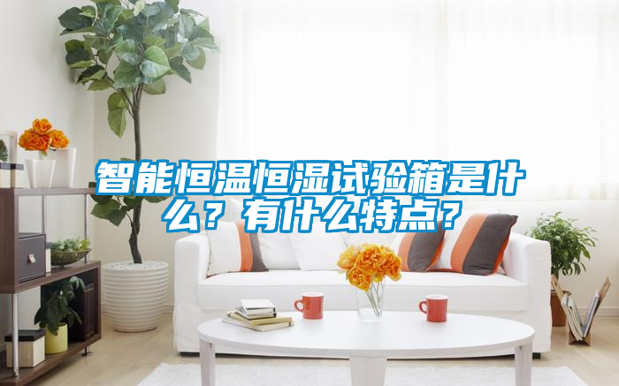 智能恒温恒湿试验箱是什么？有什么特点？