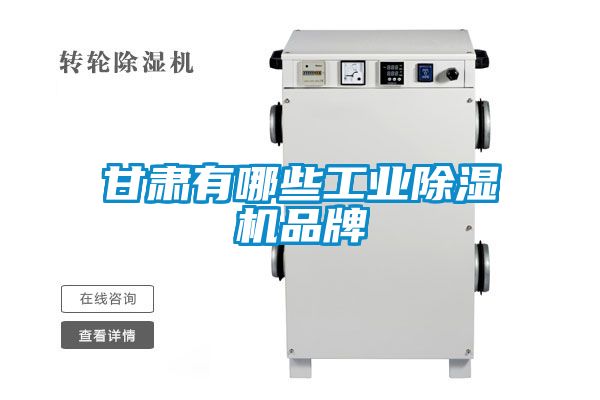 甘肃有哪些宝马电子游戏平台网址
品牌