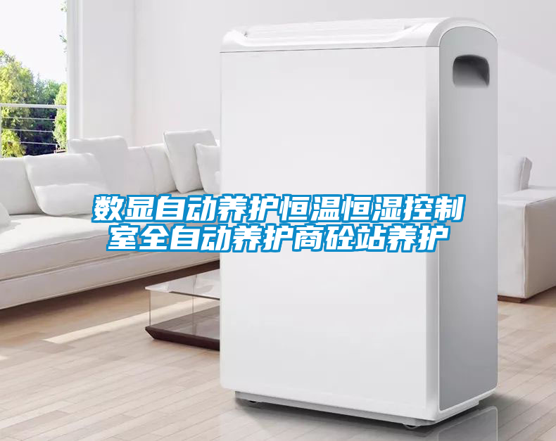 数显自动养护恒温恒湿控制室全自动养护商砼站养护