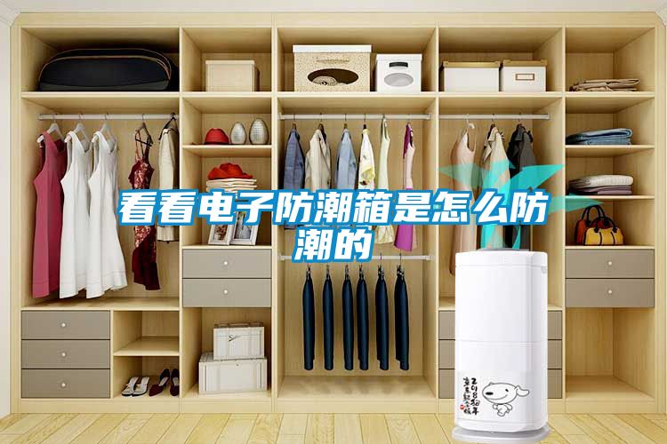 看看电子防潮箱是怎么防潮的