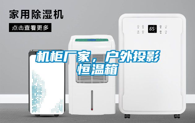机柜厂家，户外投影恒温箱