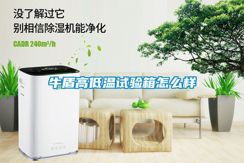牛盾高低温试验箱怎么样