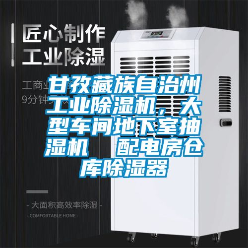 甘孜藏族自治州宝马电子游戏平台网址
，大型车间地下室抽湿机  配电房仓库除湿器
