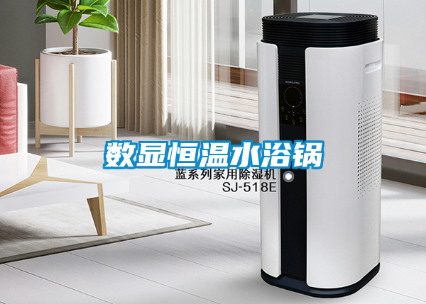 数显恒温水浴锅