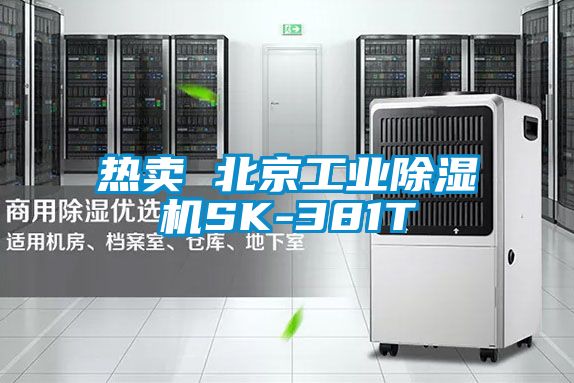 热卖 北京宝马电子游戏平台网址
SK-381T