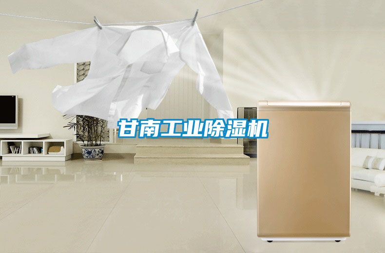 甘南宝马电子游戏平台网址
