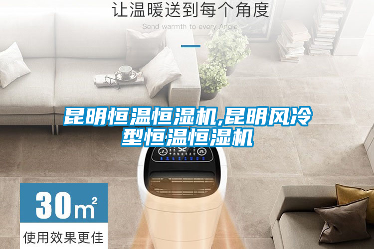 昆明恒温恒湿机,昆明风冷型恒温恒湿机