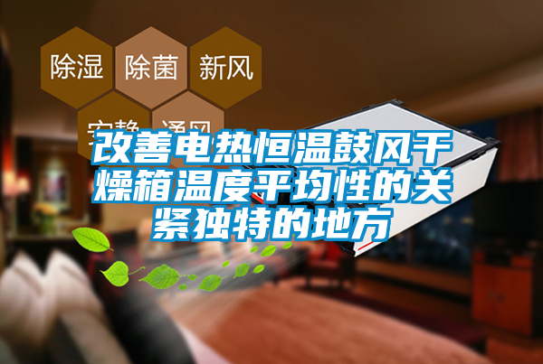 改善电热恒温鼓风干燥箱温度平均性的关紧独特的地方