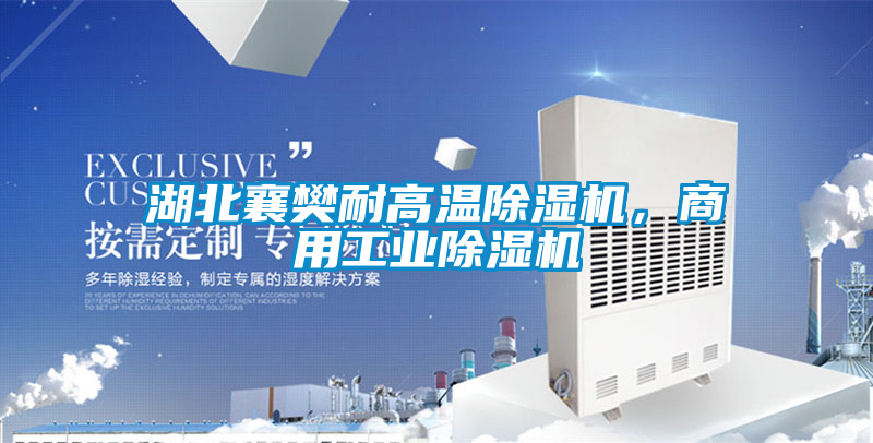 湖北襄樊耐高温除湿机，商用宝马电子游戏平台网址
