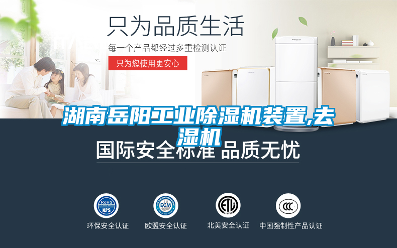 湖南岳阳宝马电子游戏平台网址
装置,去湿机