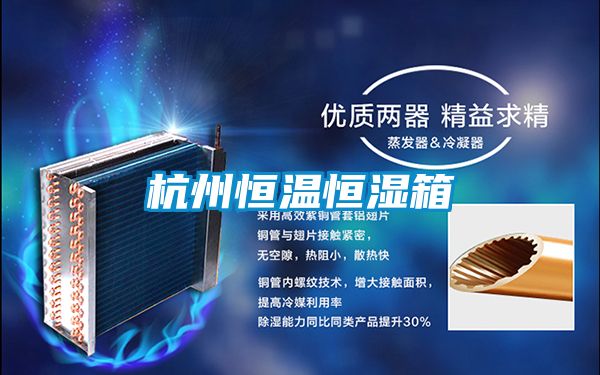 杭州恒温恒湿箱