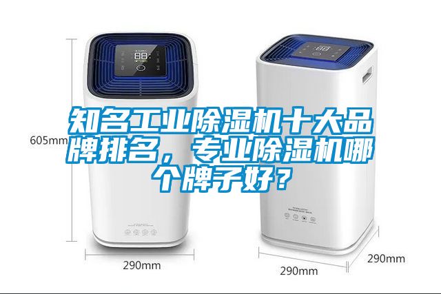 知名宝马电子游戏平台网址
十大品牌排名，专业除湿机哪个牌子好？