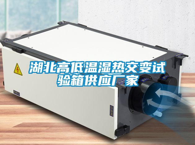 湖北高低温湿热交变试验箱供应厂家